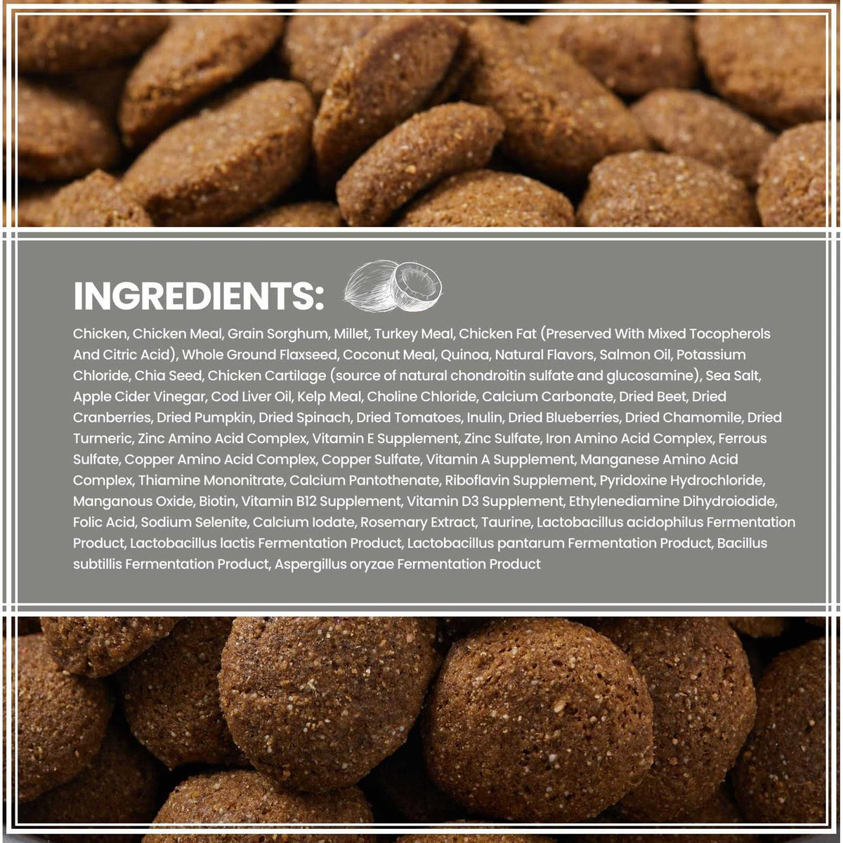 Ancient Grains with Chicken Dog Food Y777