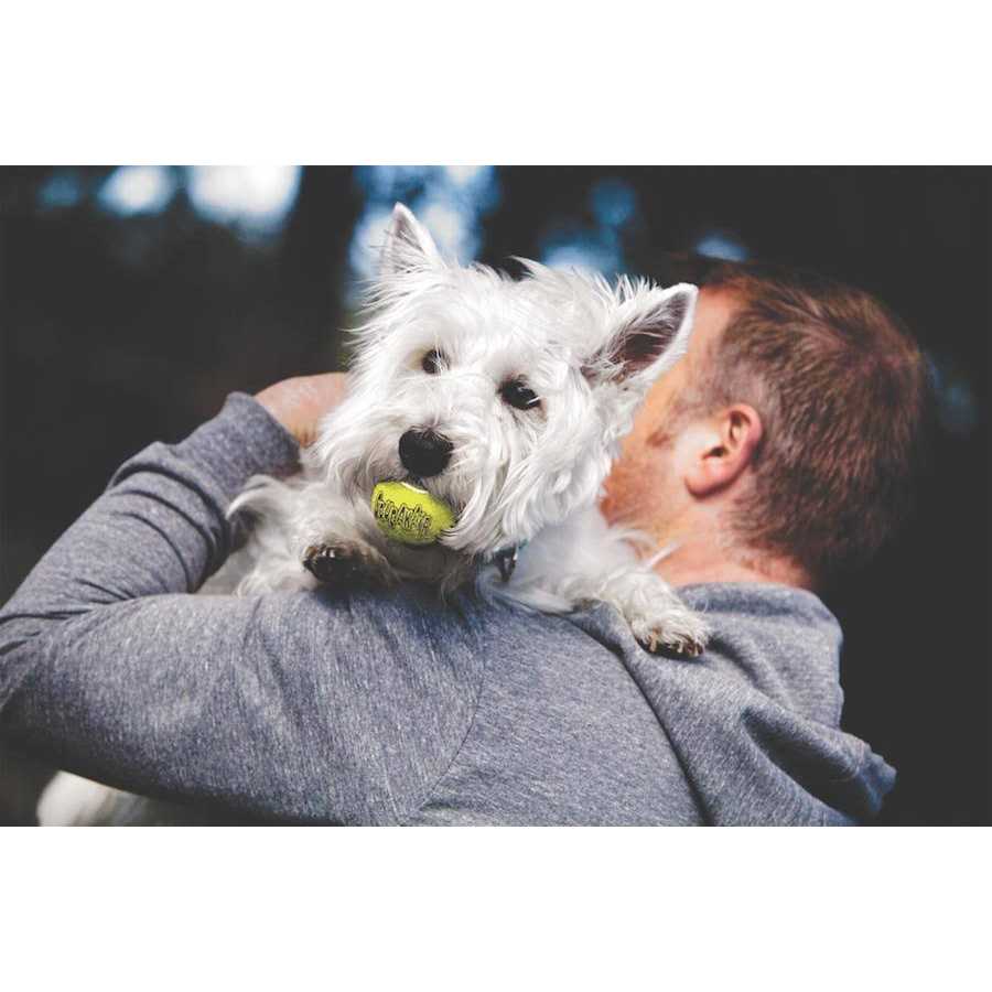 Pet Supplies D51454