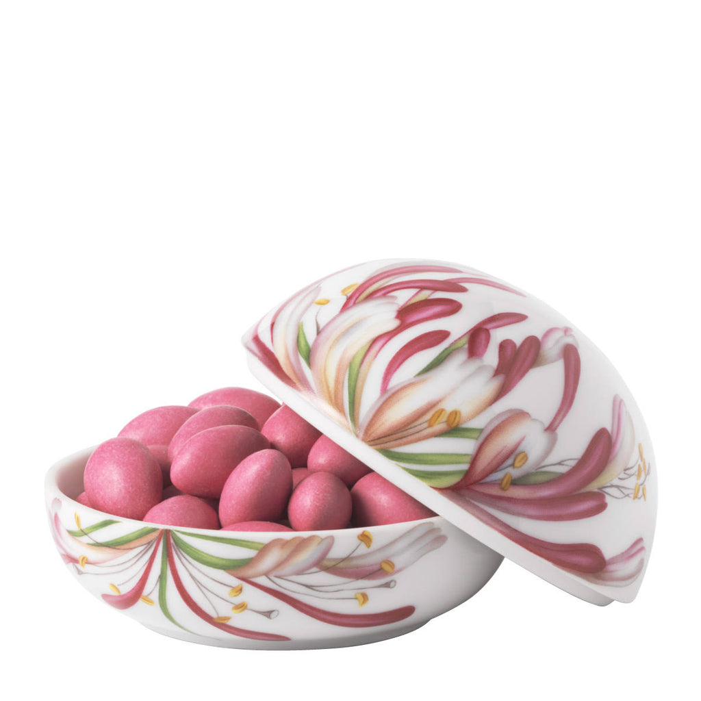 Home Goods B335045