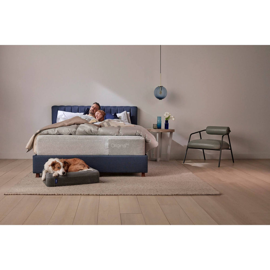 Large Dog Bed in Blue X8166