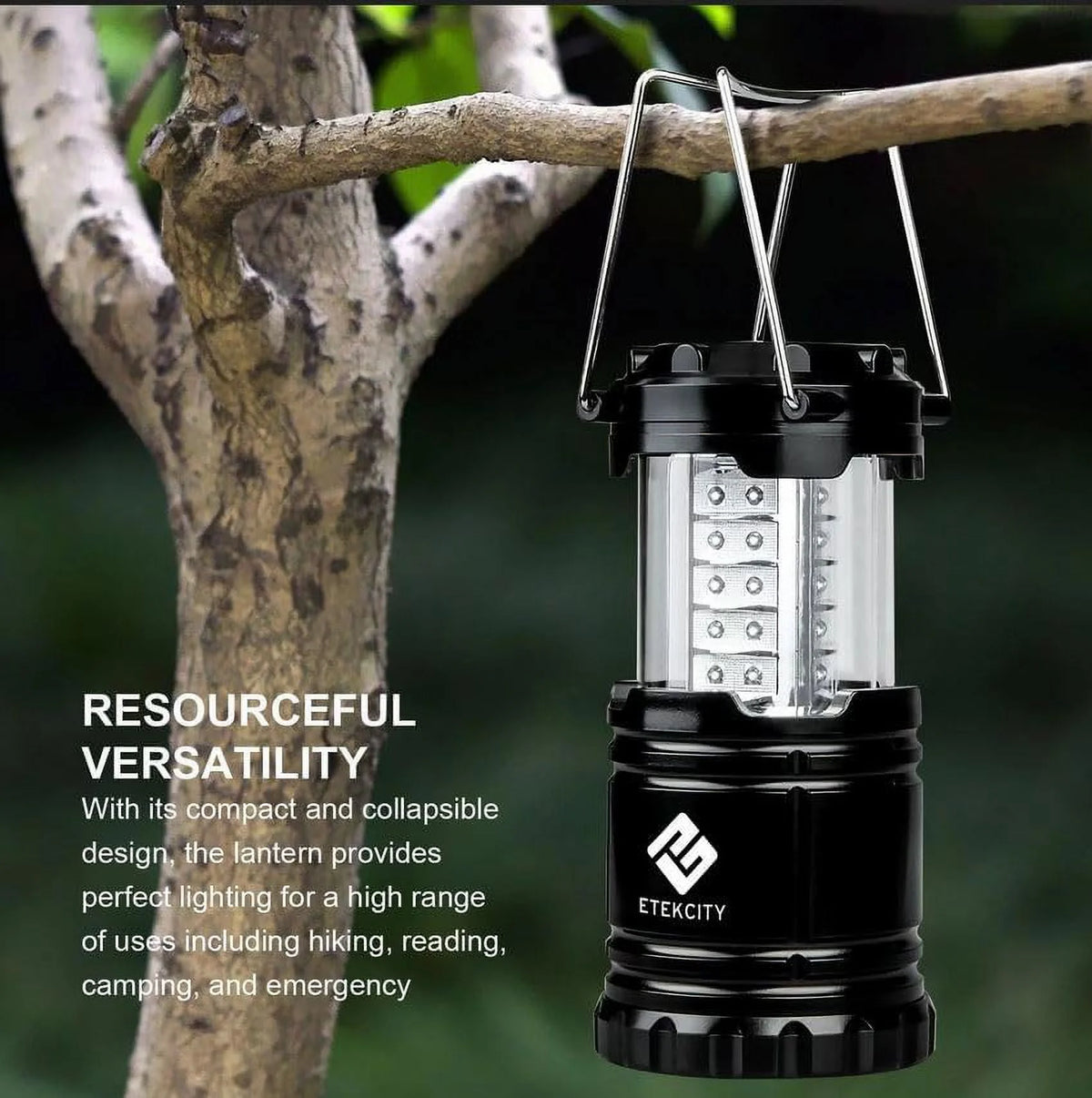 4 Pack Portable LED Camping Lantern with 12 AA Batteries, Black, Collapsible Y237656