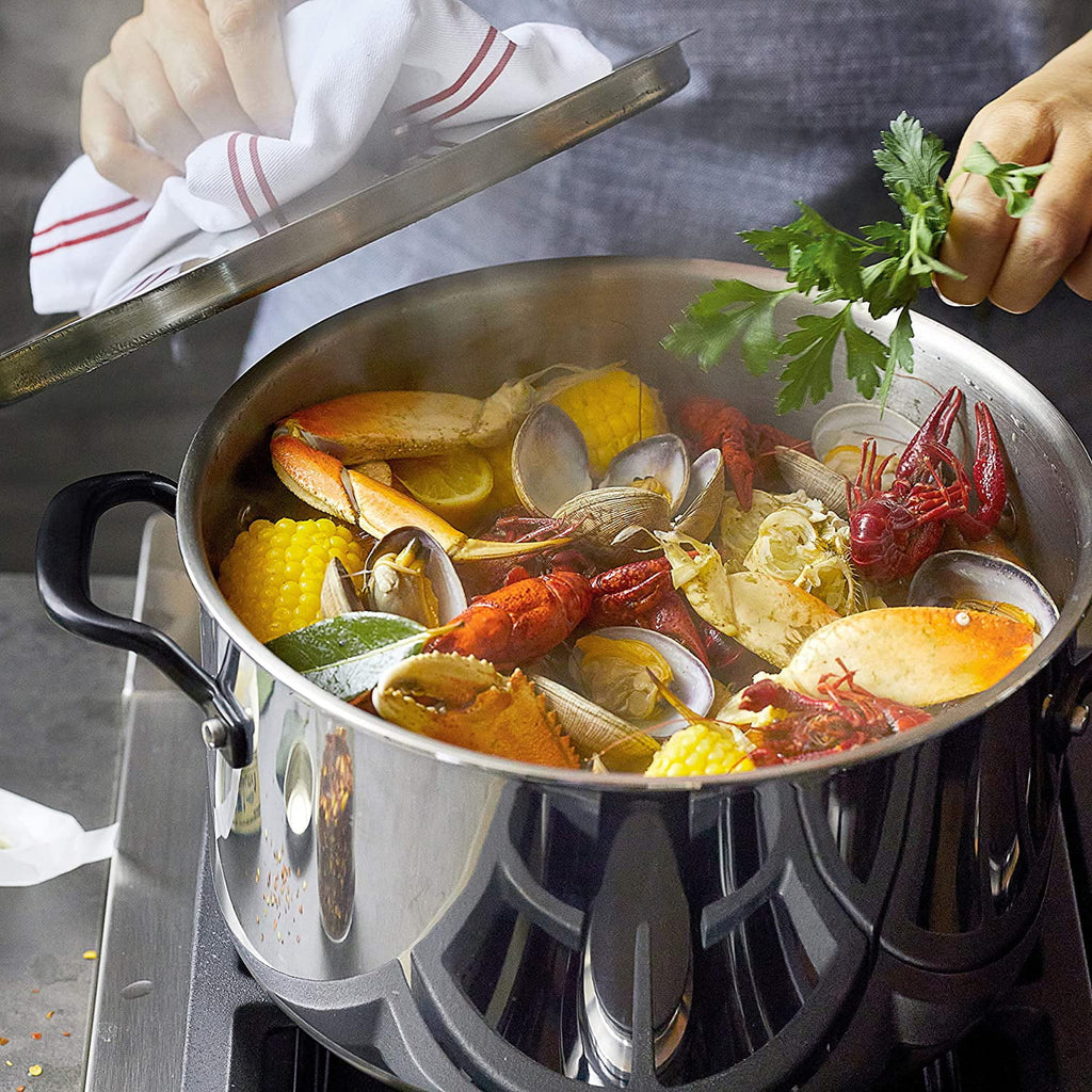 5-Ply Clad Stainless Steel Stock Pot with Lid, 8 Quart Q783217
