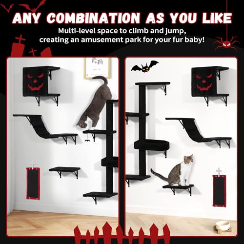 Black Cat Wall Shelves Set of 5 C765713