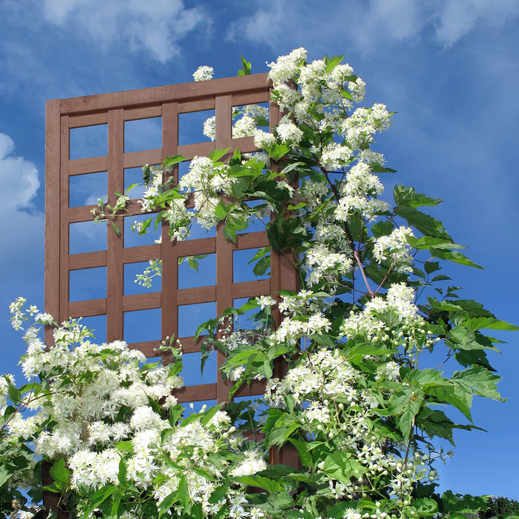 Walnut-Tone Square Lattice Trellis F1132