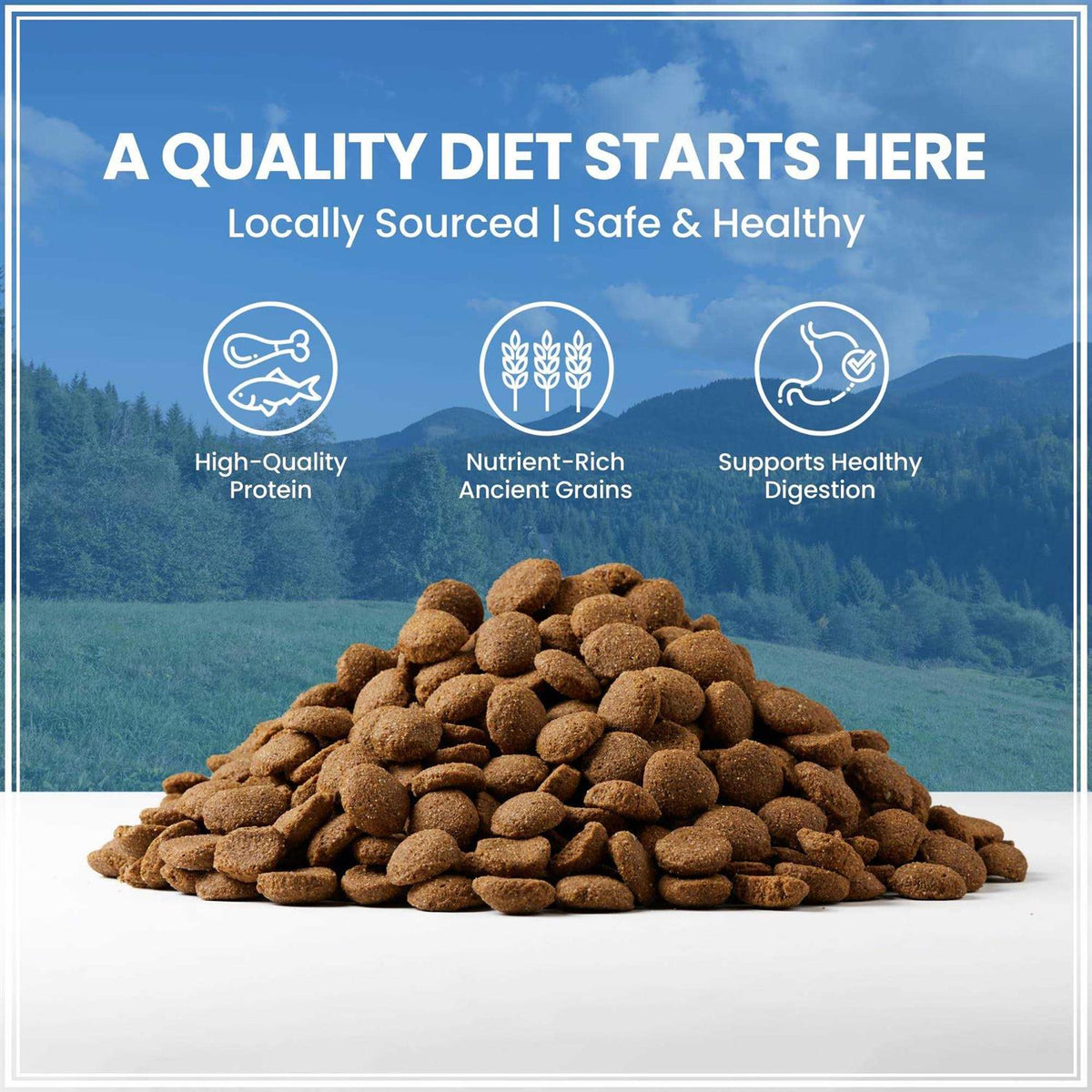 Ancient Grains with Chicken Dog Food Y777