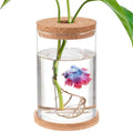 Clear Glass Betta Fish Tank Y93190