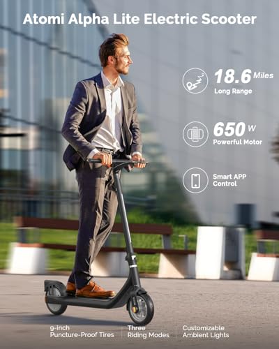 500W Electric Scooter with 19 Miles Range Q479