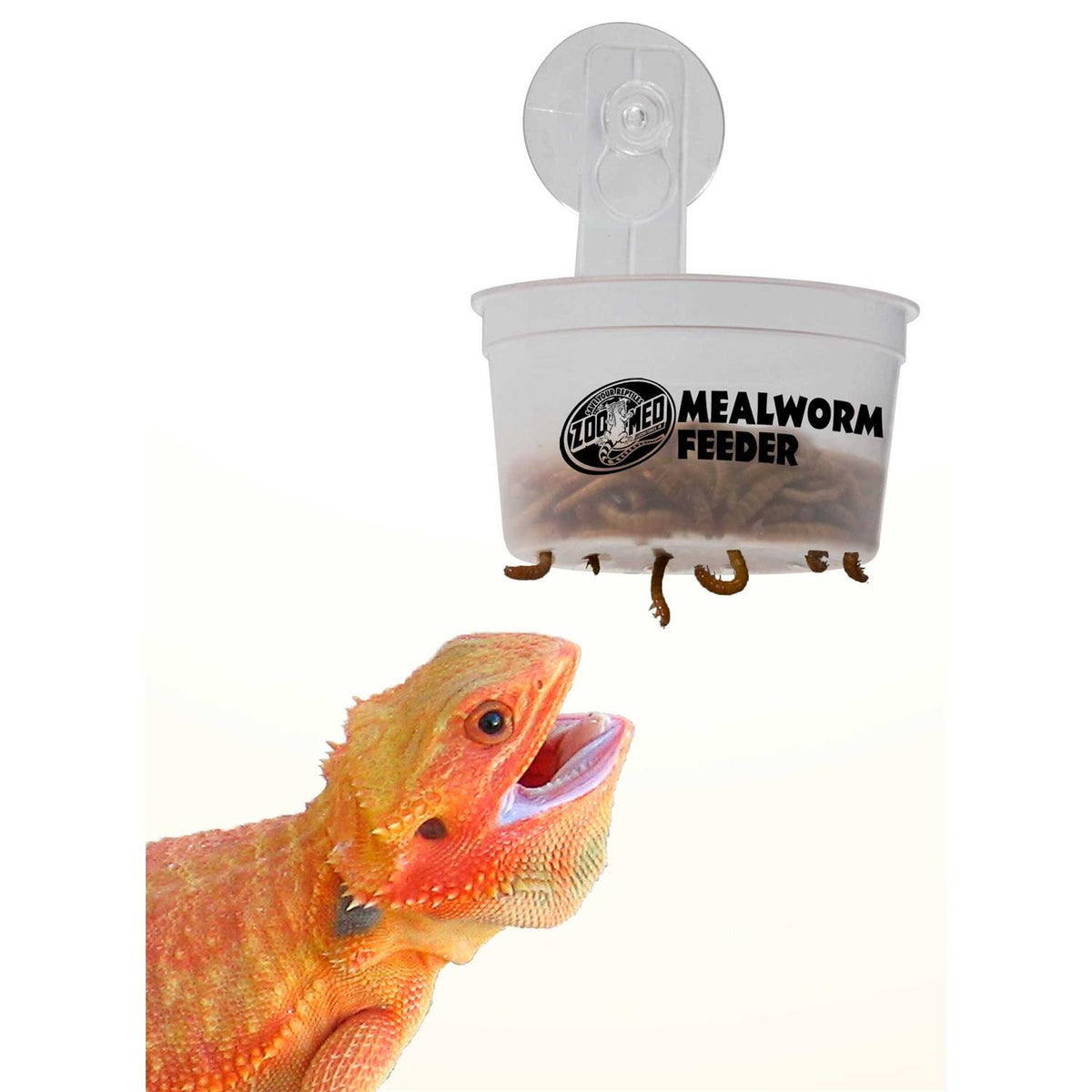 Hanging Mealworm Feeder C60065