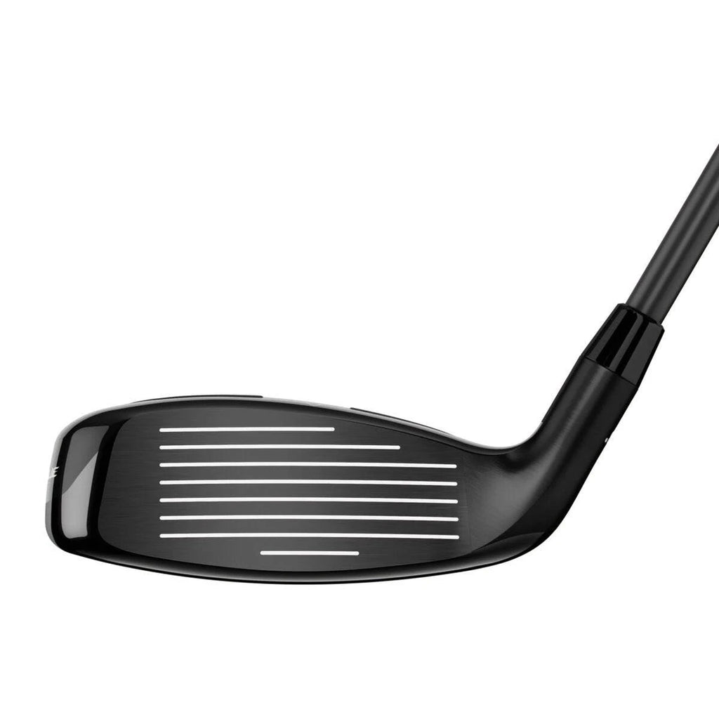 Hybrid O11299