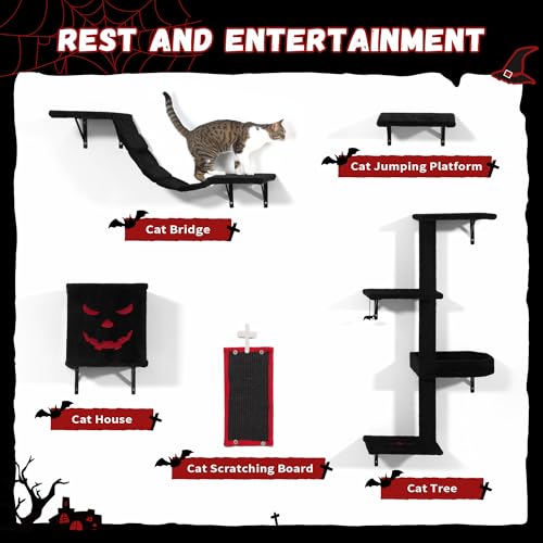 Black Cat Wall Shelves Set of 5 C765713