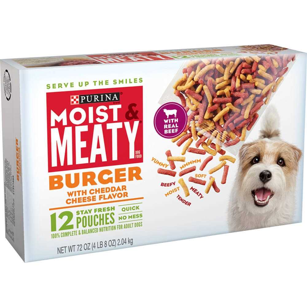 Burger with Cheddar Cheese Flavor Dry Dog Food O31448