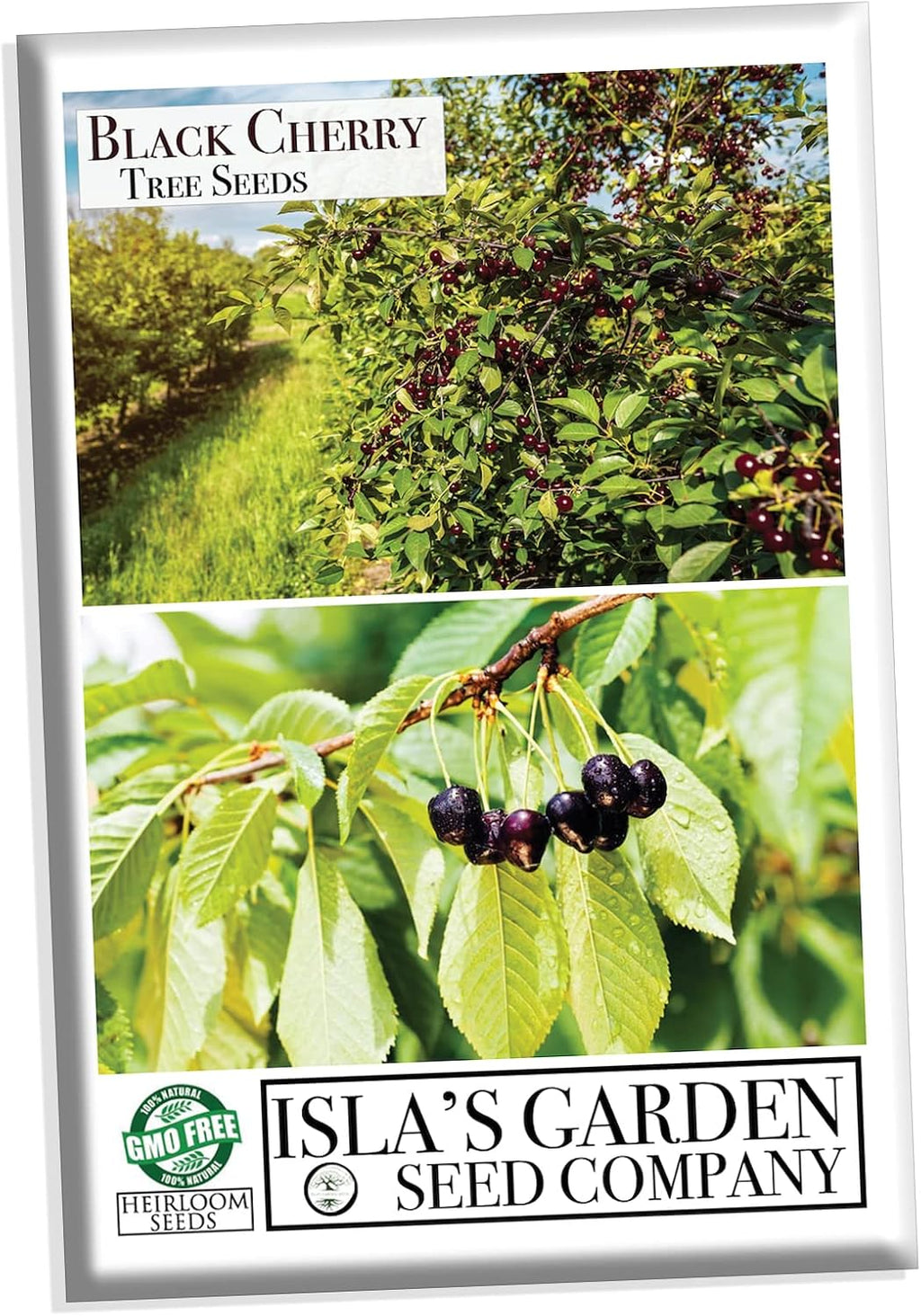 Black Cherry Fruit Tree Seeds, 25+ Seeds Per Packet, Non GMO Heirloom Seeds E739642