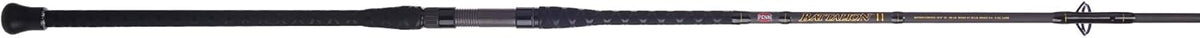 Penn Battalion Surf Spinning Rod - 2 Pieces T242