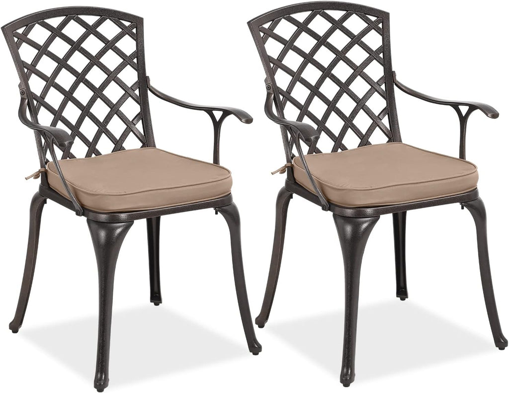 2 Piece Cast Aluminum Bistro Dining Chair Set W4698
