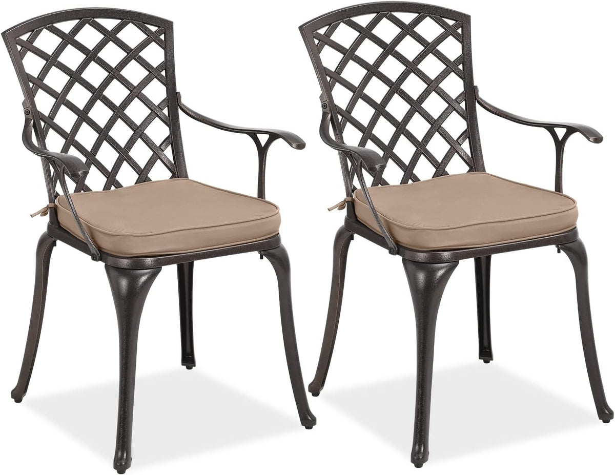 2 Piece Cast Aluminum Bistro Dining Chair Set W4698