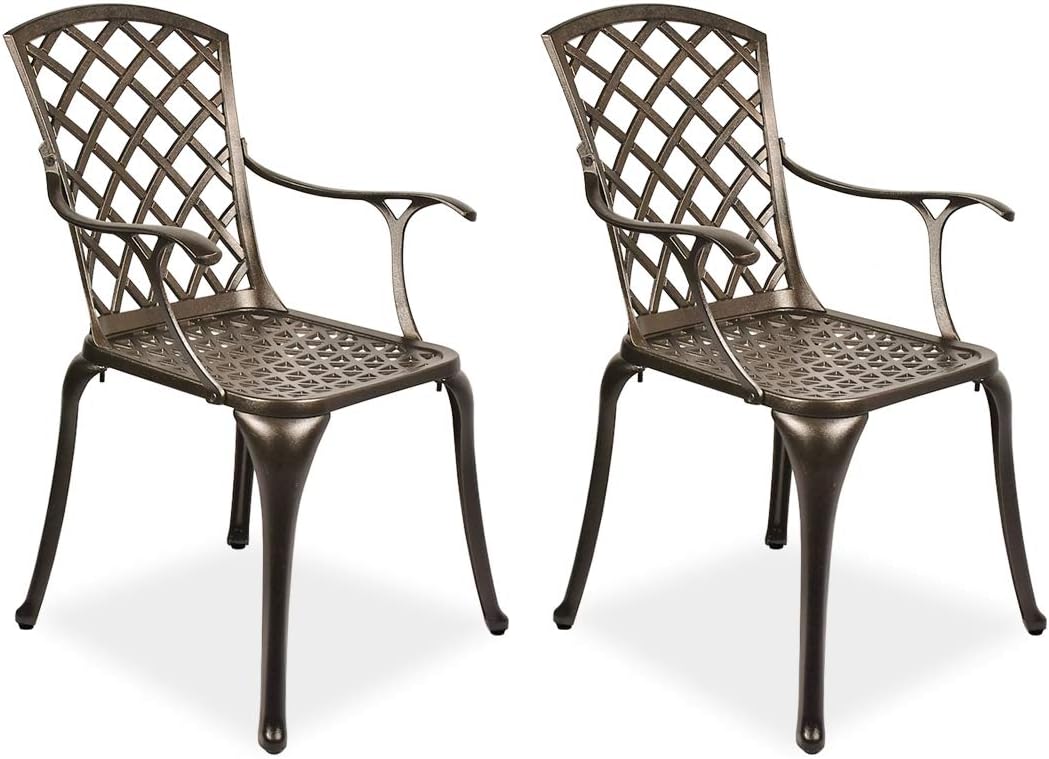 2 Piece Cast Aluminum Bistro Dining Chair Set W4698