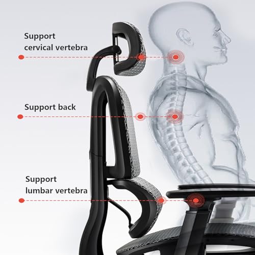 Ergonomic Mesh Swivel High Back Office Chair with Lumbar Support Adjustable Headrest M359