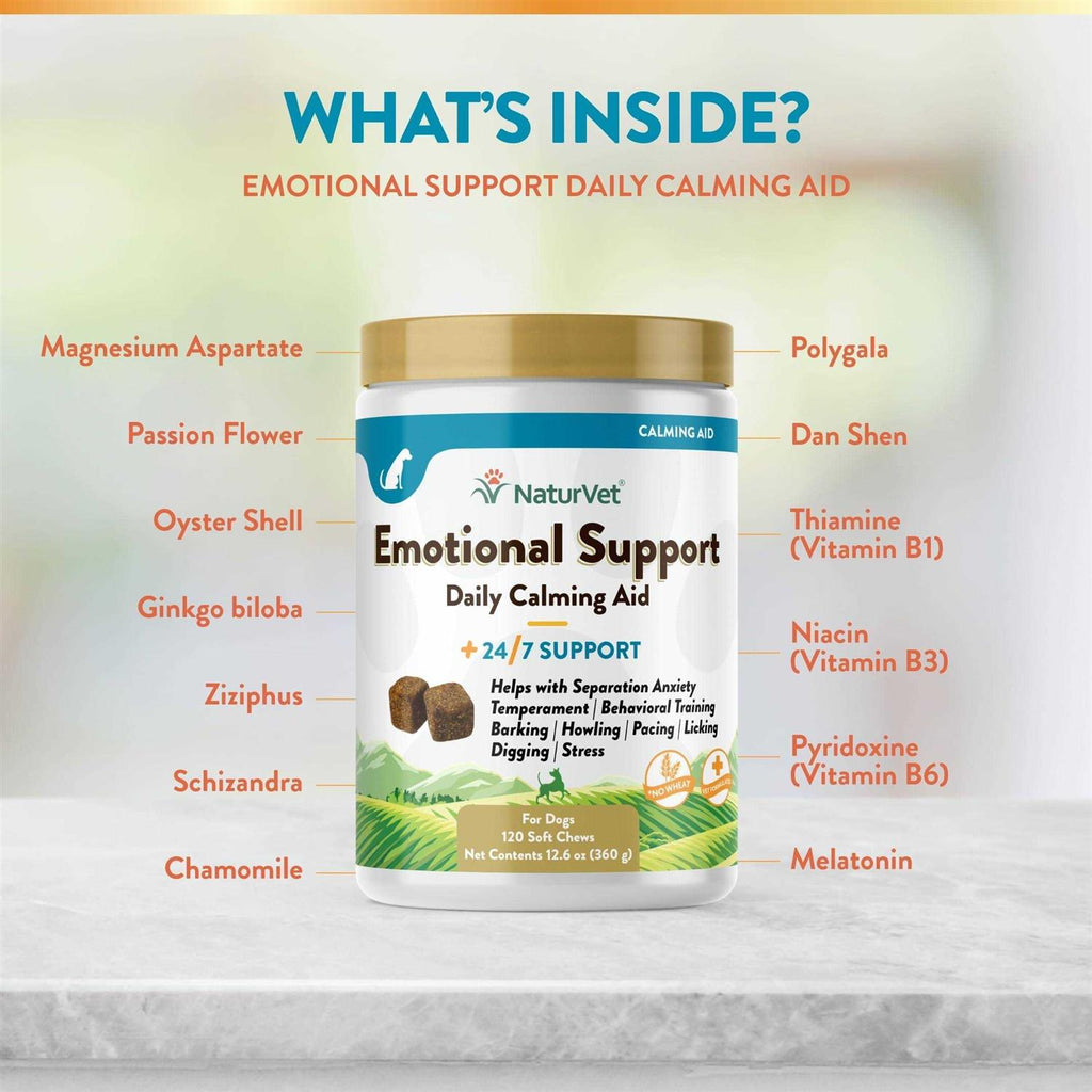 Daily Calming Aid R94871