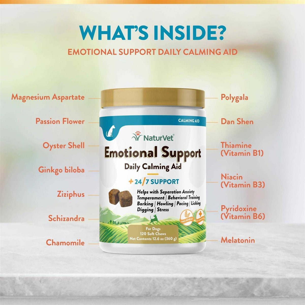 Daily Calming Aid R94871