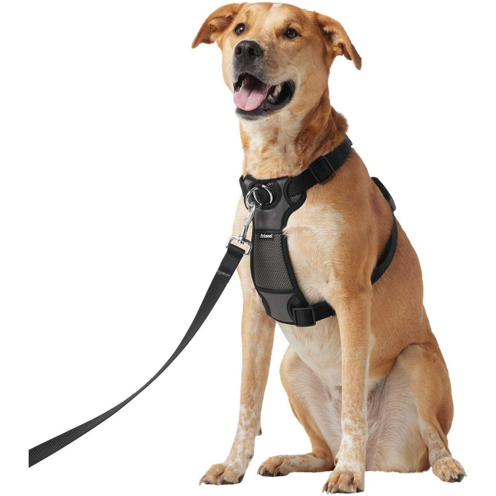 Padded Nylon No Pull Dog Harness I23019
