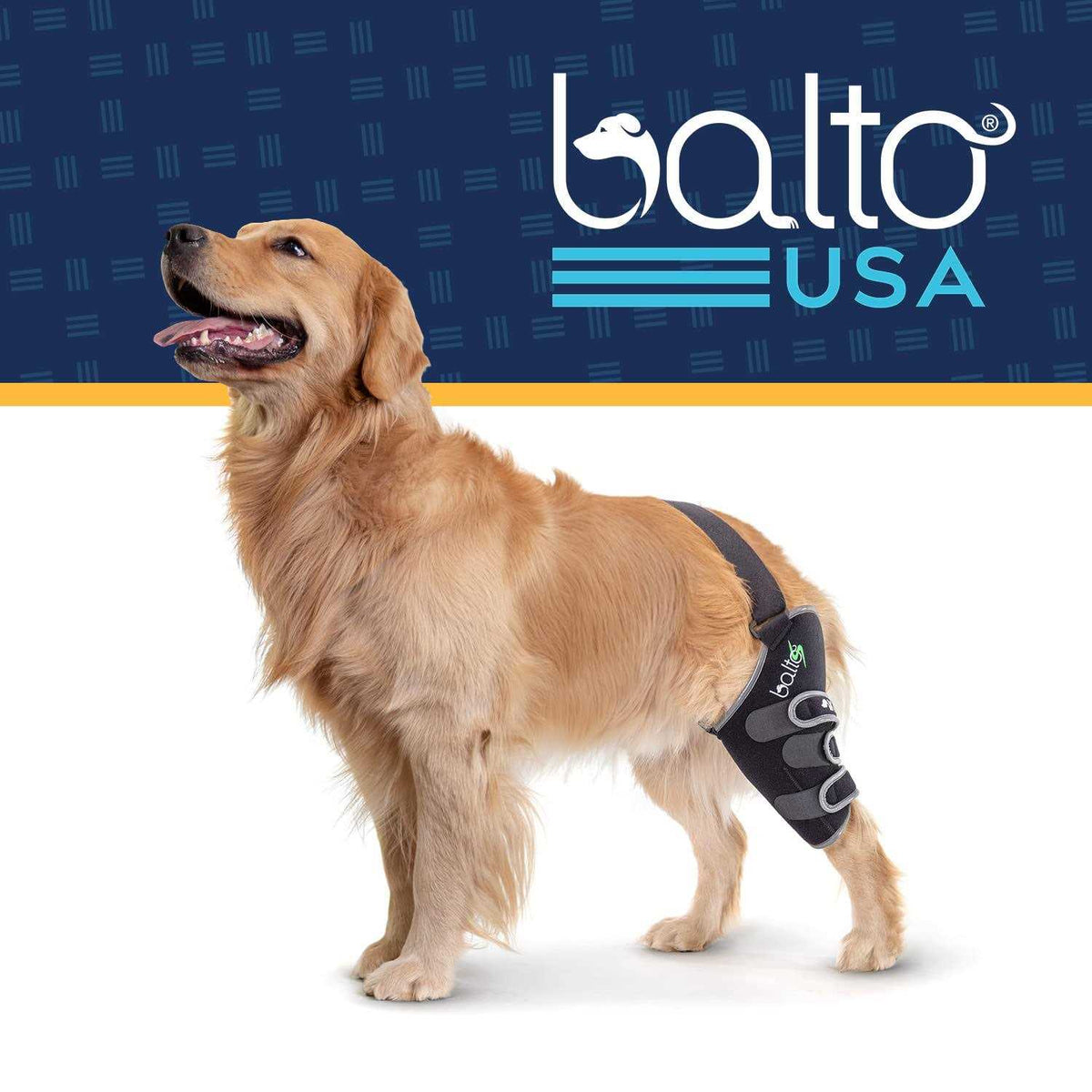 Knee Support for Dogs N875