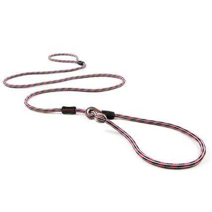 Slip Collar Dog Leash Q694