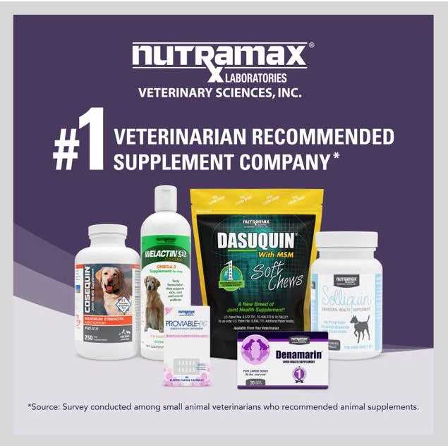 Liver Health Tablets Dogs A2521