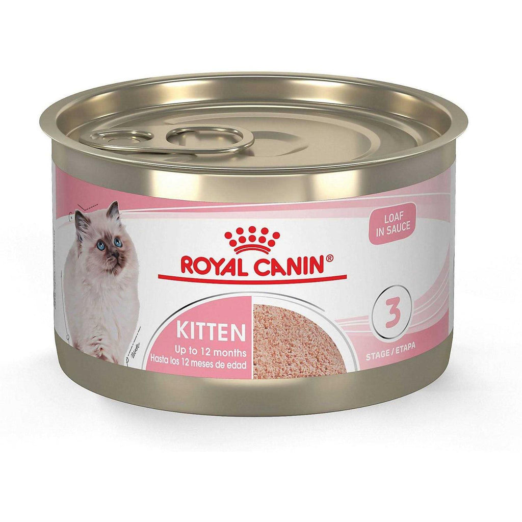 Kitten Loaf in Sauce Cat Food Z6757