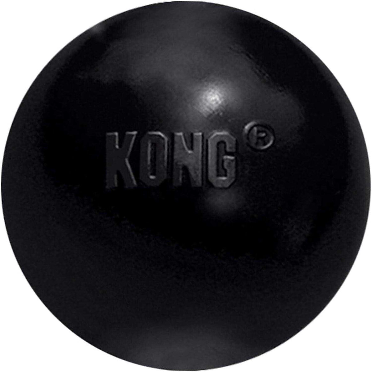 KONG Ball Dog Toy B758