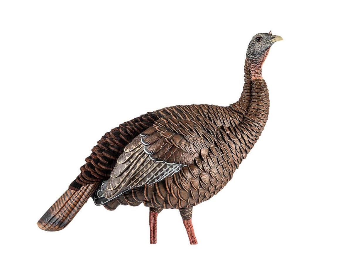 Turkey Decoy Z357046