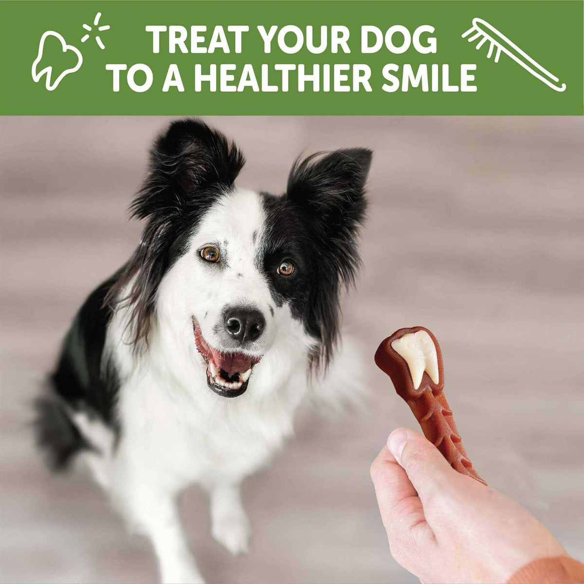 Dental Treats I982757