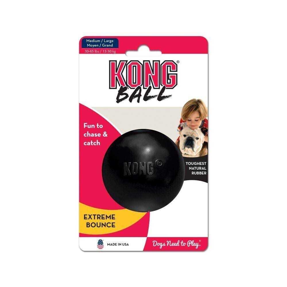KONG Ball Dog Toy B758