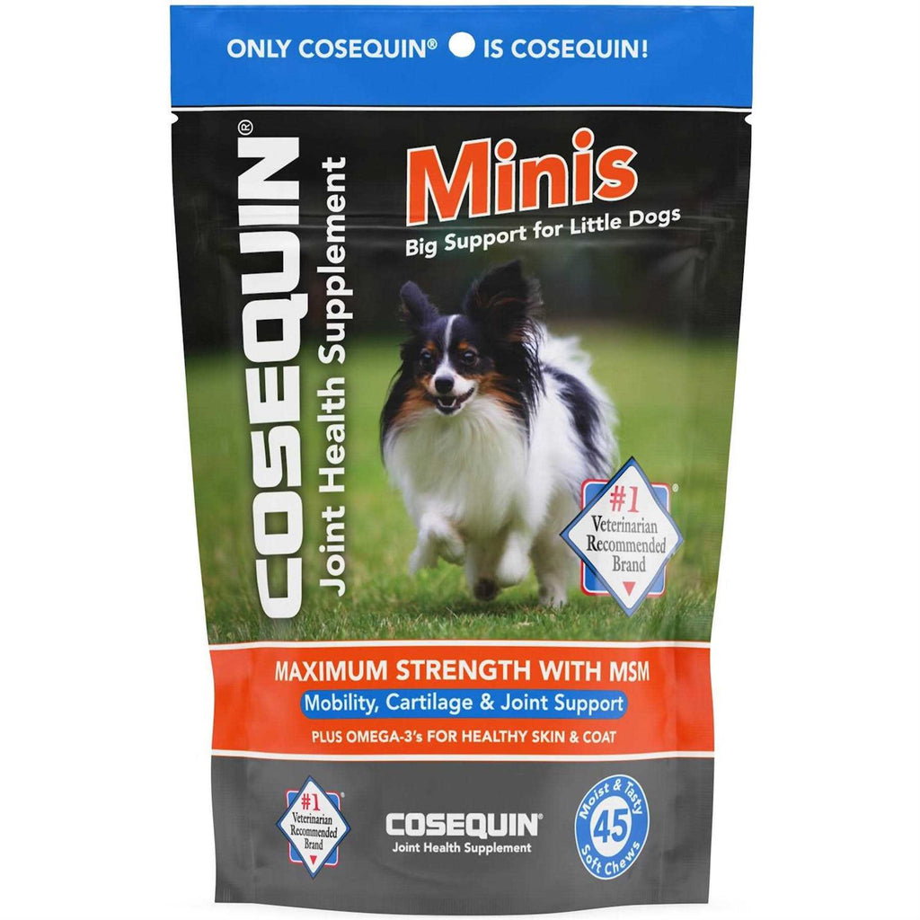 Maximum Strength Soft Chews with MSM Plus Omega-3s for Dogs H788298
