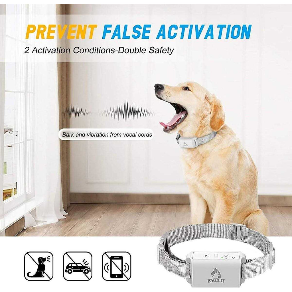 Anti-Bark Training Dog Collar B74902