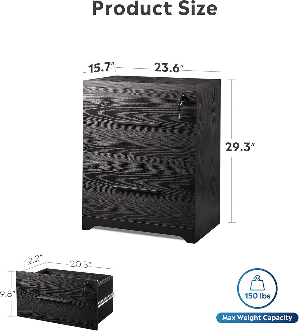 Black 2-Drawer Wood Lateral File Cabinet with Lock Z862