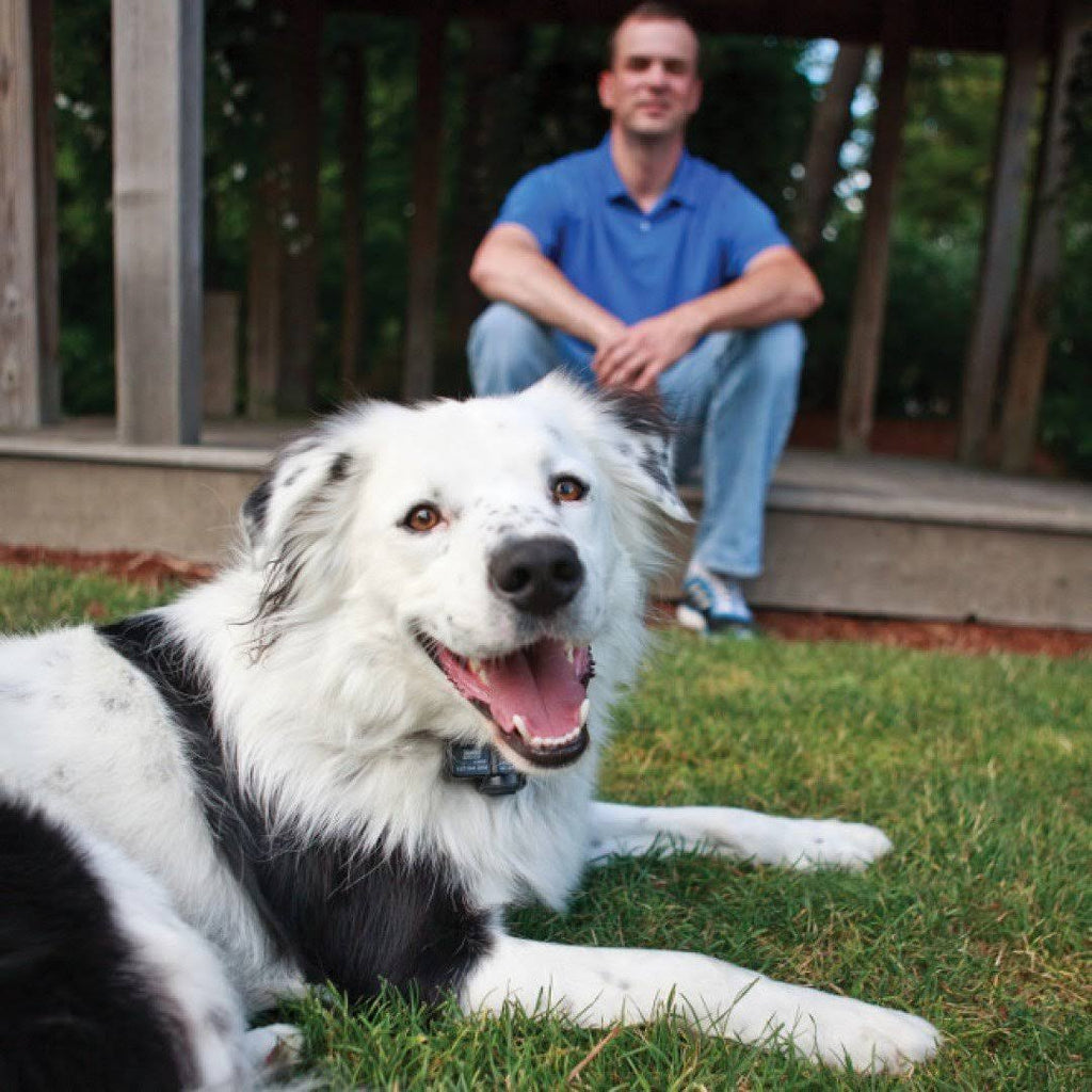 Wireless Containment Fence K92567