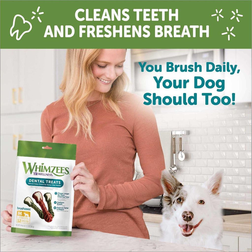 Dental Treats I982757