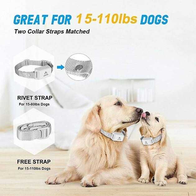 Anti-Bark Training Dog Collar B74902