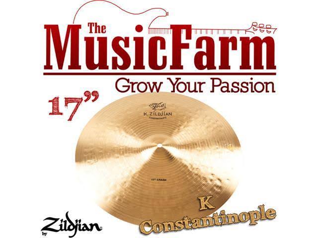 17x22 Crash Cymbal P641931