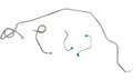 Stainless Front Brake Line Kit T187