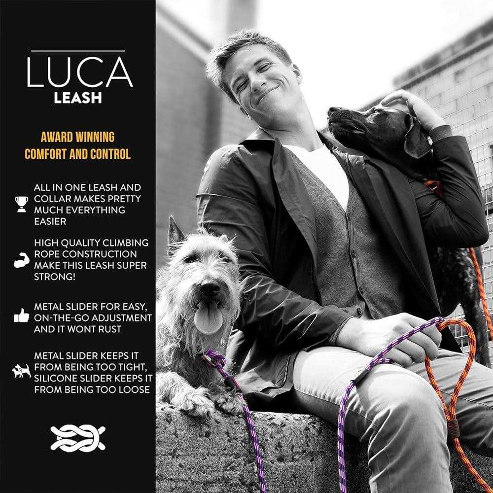 Slip Collar Dog Leash Q694