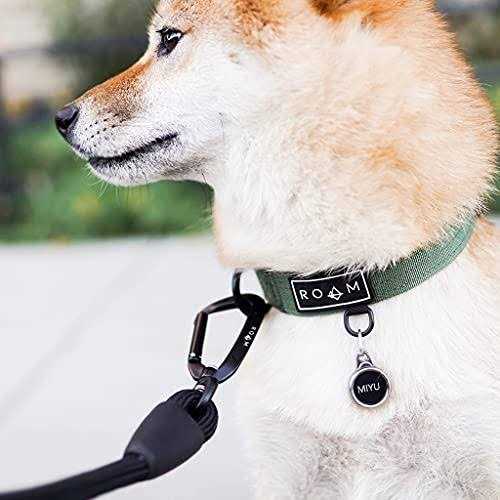 Ultra Soft Dog Leash with Carabiner P492556
