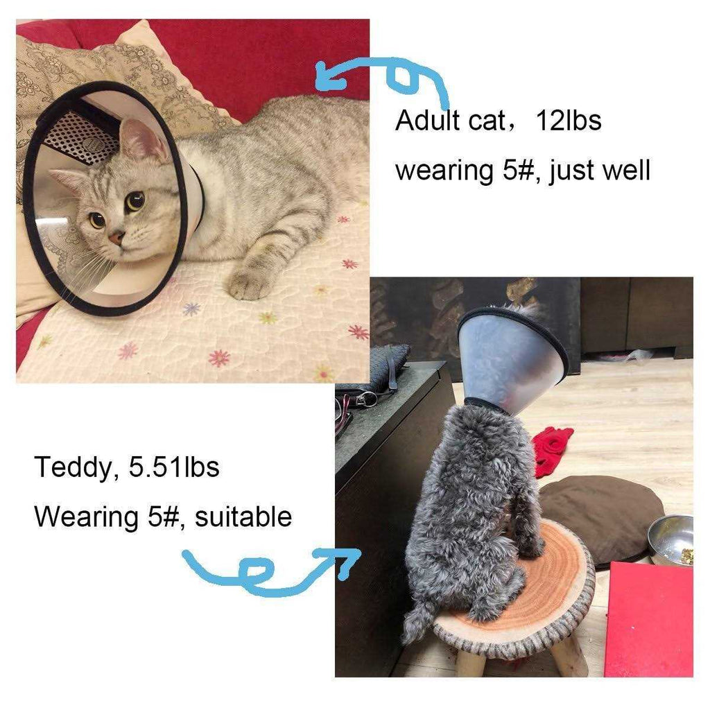 Adjustable Recovery Pet Cone E-Collar M380790