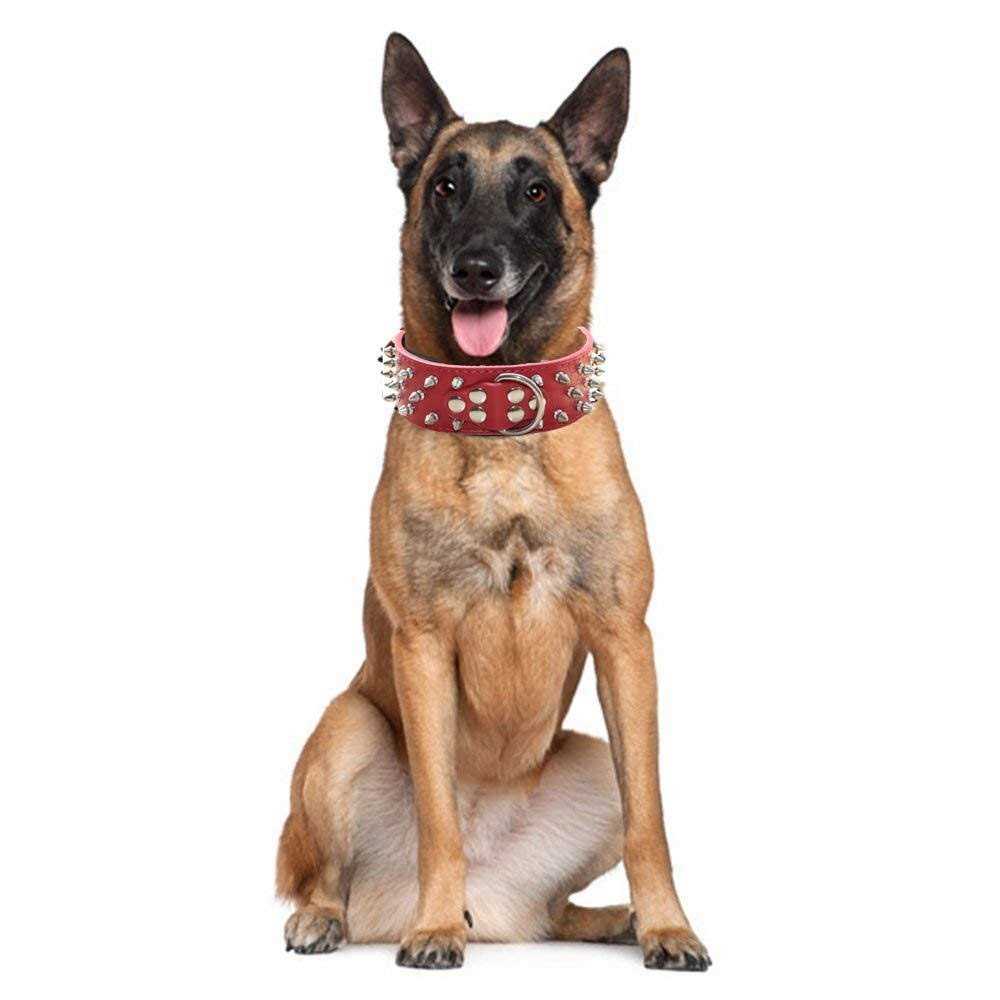 Leather Spiked Studded Dog Collar F292912