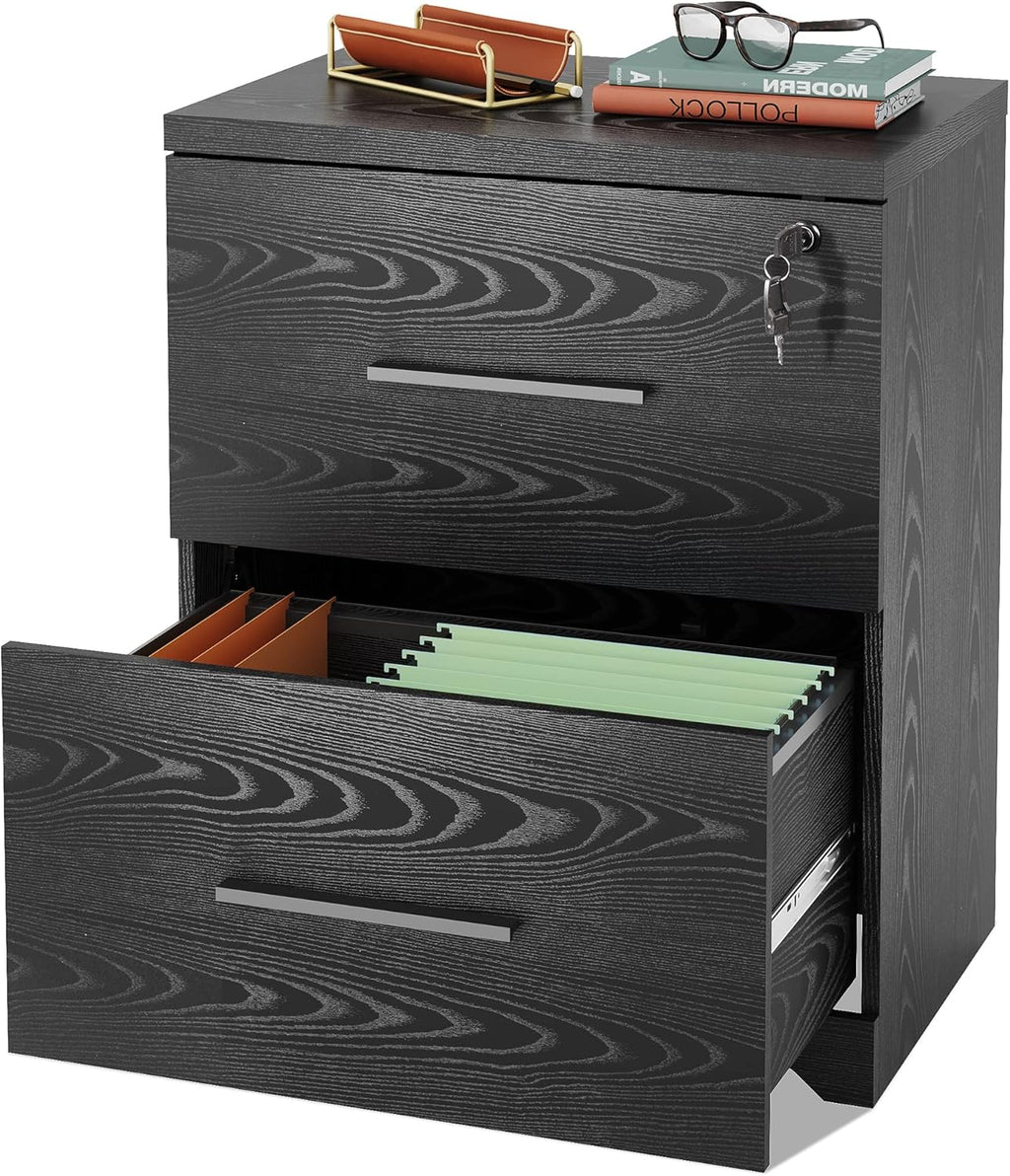 Black 2-Drawer Wood Lateral File Cabinet with Lock Z862