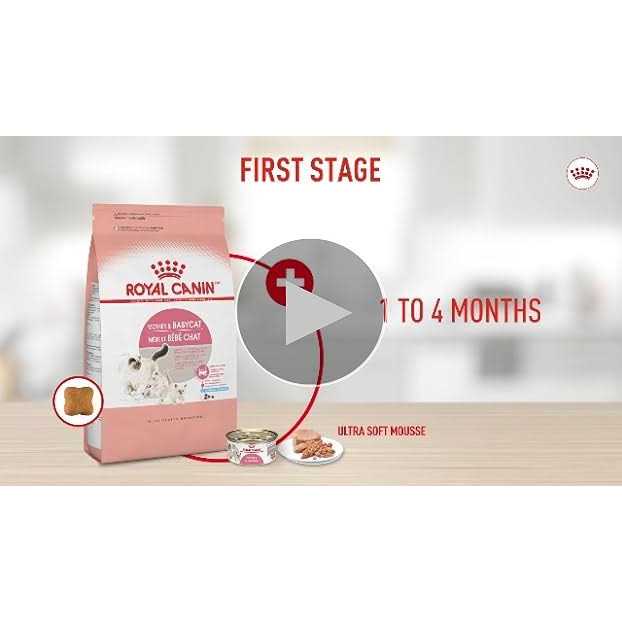 Kitten Loaf in Sauce Cat Food Z6757