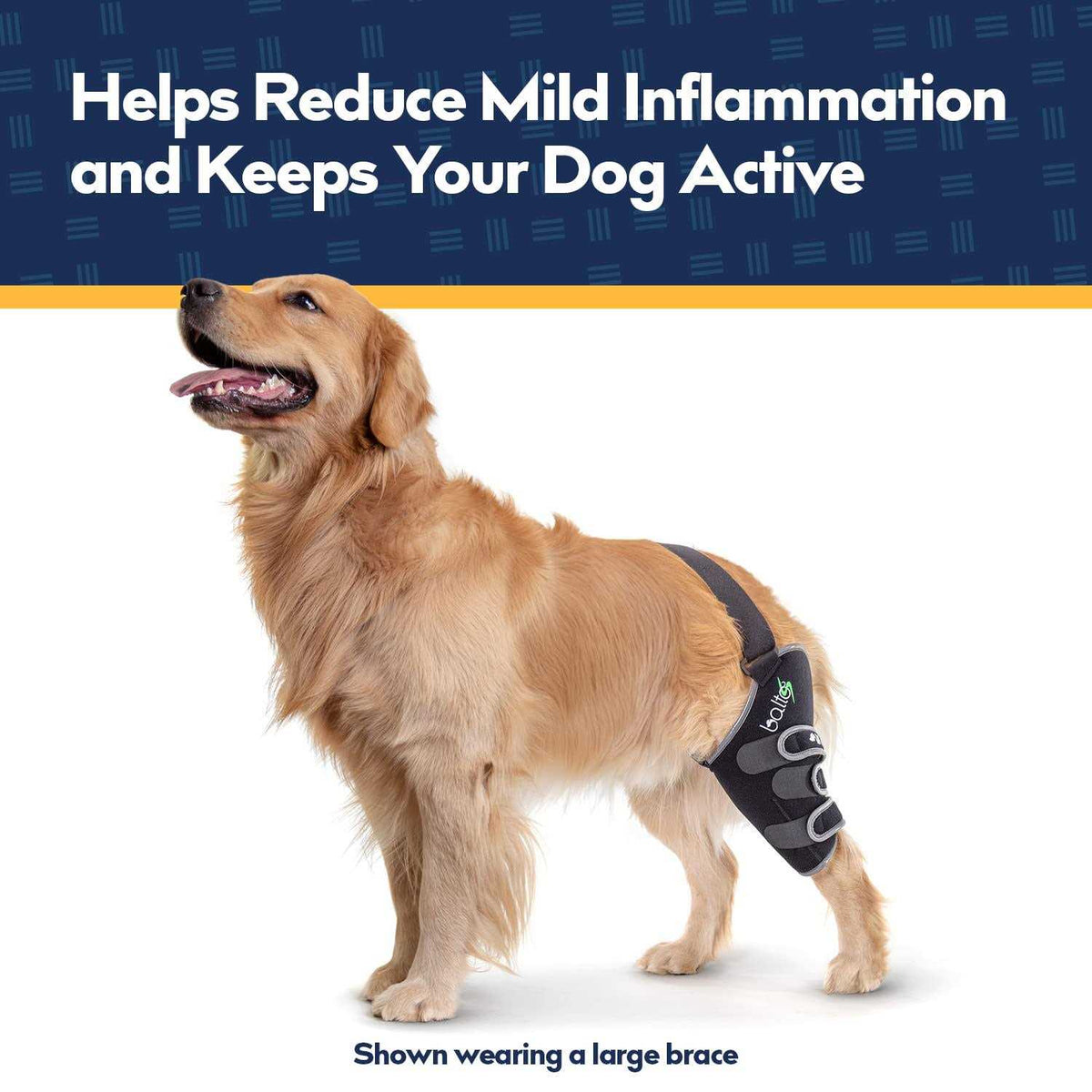 Knee Support for Dogs N875