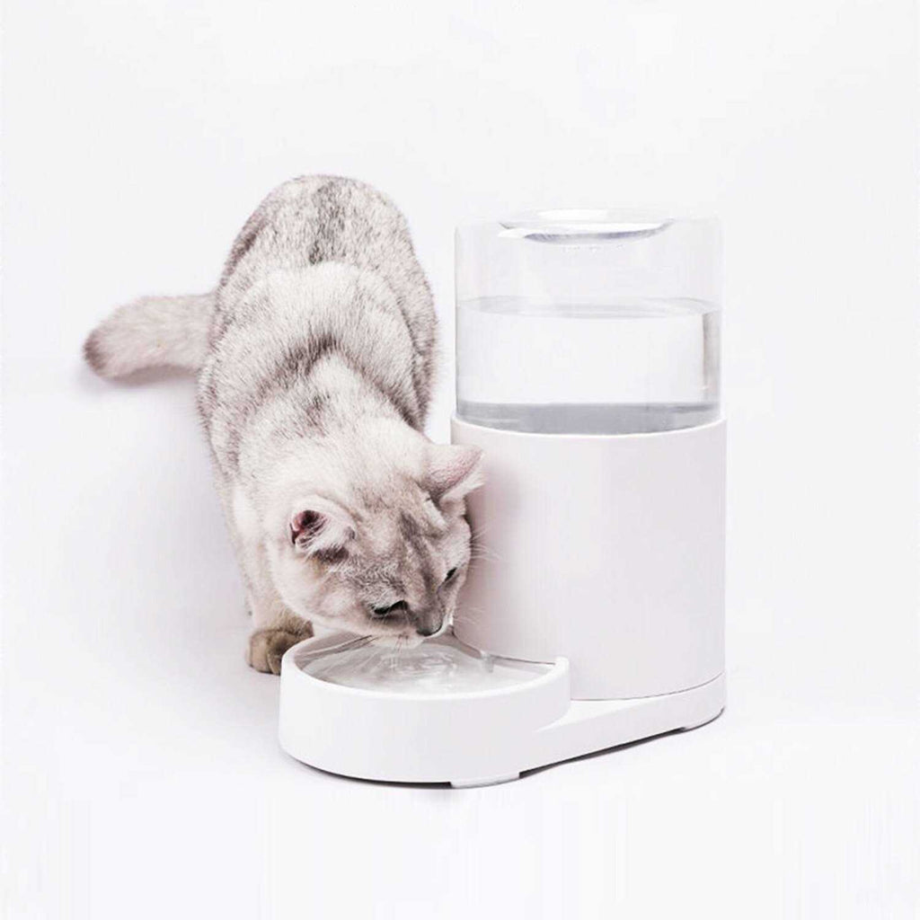 Automatic Pet Water Dispenser 3 Liter Z437589