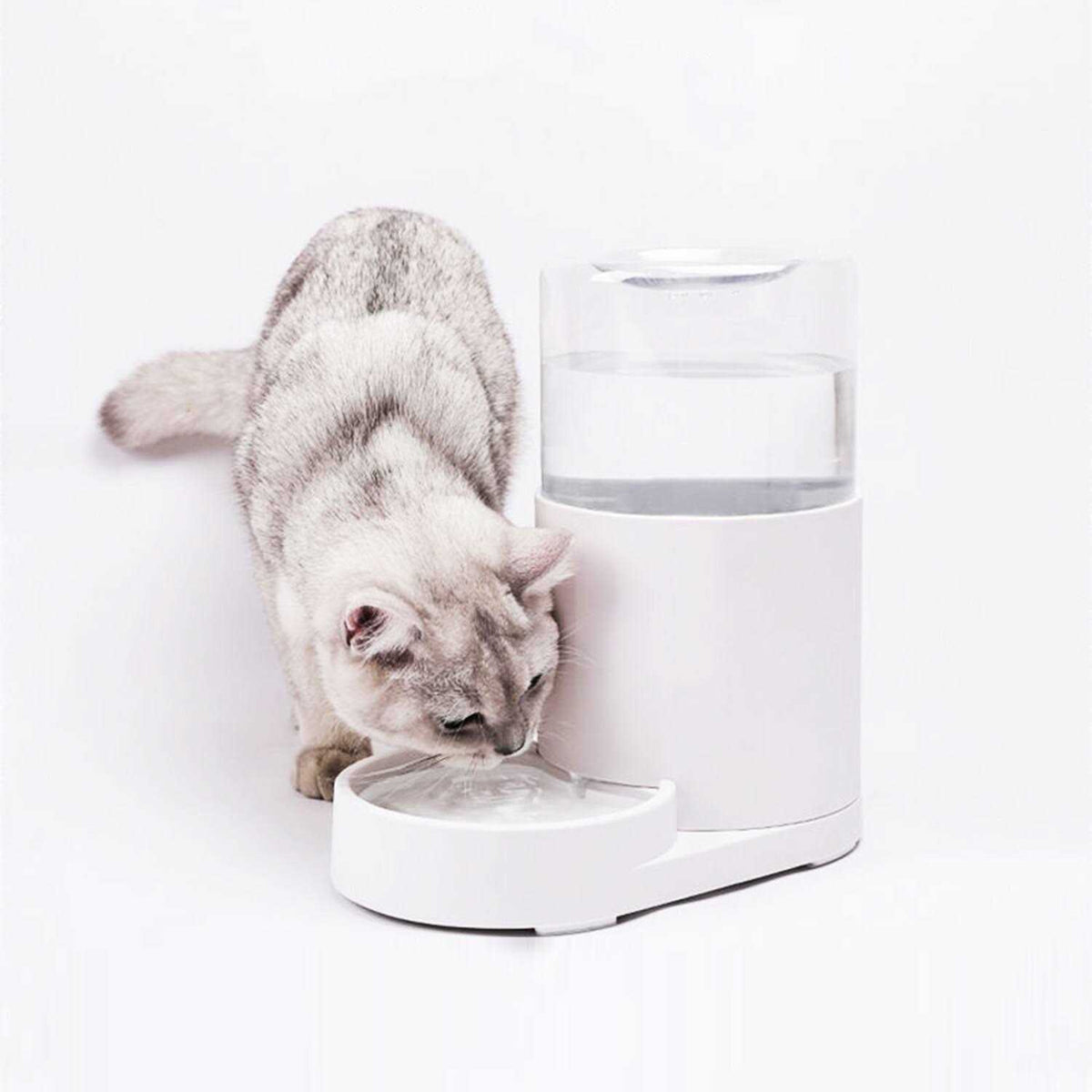 Automatic Pet Water Dispenser 3 Liter Z437589