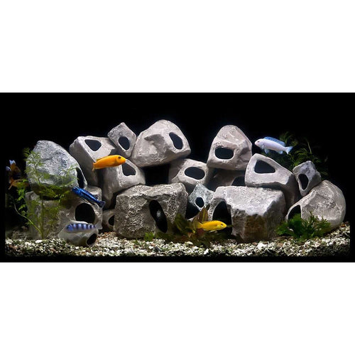 15-Pack Cichlid Stone G17509